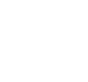 Graphic Window Tint